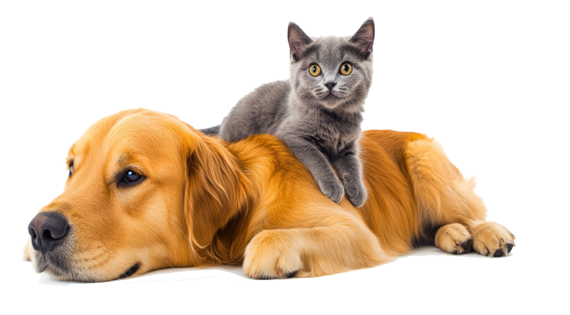 naturopatia per animali